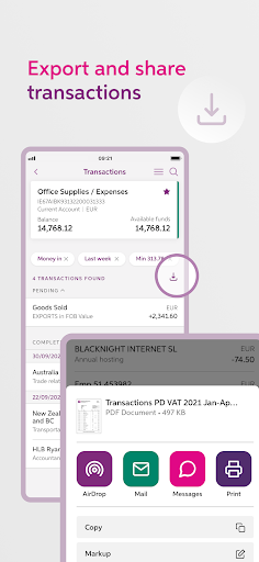 AIB Business (iBB) screenshot 5