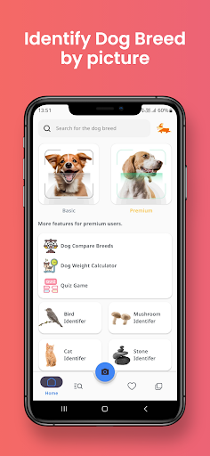 Android application Dog breed identifier screenshort
