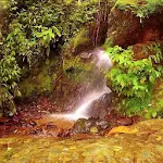 The Golden Creek of Eldorado Apk