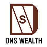 DNS Wealth icon
