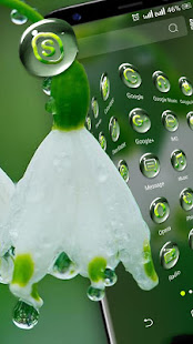 White Lily Rain Drop Launcher Theme(圖3)-速報App