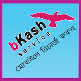 bKash Service icon
