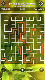 Mazescapes Amazing Maze