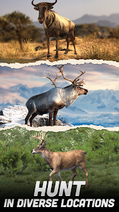 Ultimate Hunting: Hunter Game 3