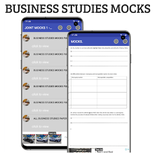 Business studies: mocks