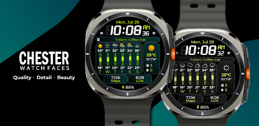 Chester Weather info