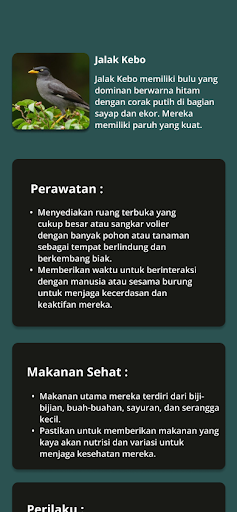 jalak bird care Screen 3