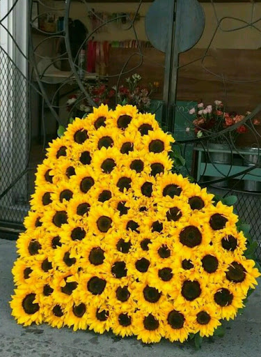 رمزيات هياف للاصفر