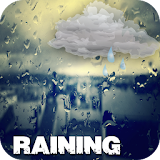 Rain Animated Wallpaper icon