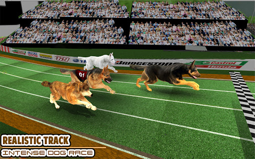 Dog Racing - Pet Racing game  screenshots 1