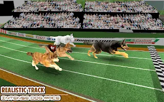 Dog Racing game - dog games - Screenshot 2