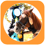 Cover Image of Download Hijab Women With Horse Photos  APK