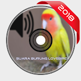 Masteran Burung Lovebird icon