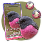 Cover Image of Baixar Pink Robin Launcher Theme 1.0.0 APK