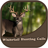 Whitetail Deer Calls icon