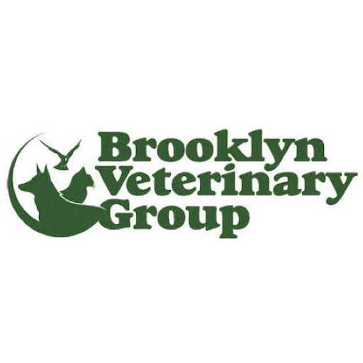 BVG NY logo