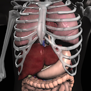 Anatomy 3D: Organs  for PC Windows and Mac
