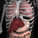Anatomy 3D: Organs - Androidアプリ