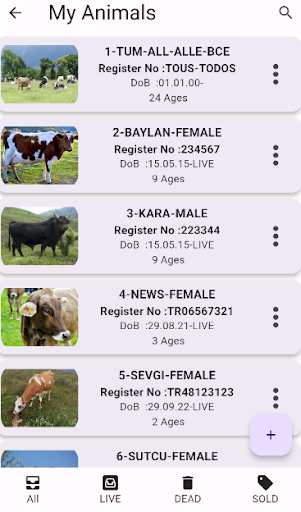 My Herds on My Phone Screen 2