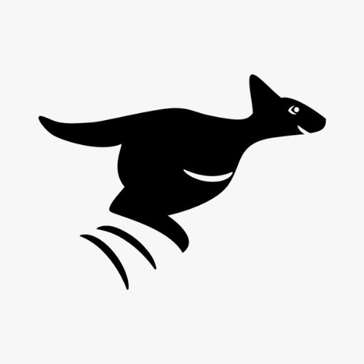 Kengoroo - Курьер logo