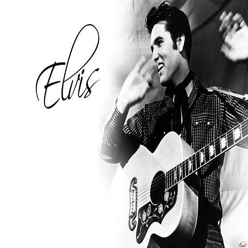 Elvis And Company