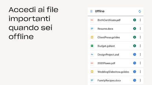 Immagine screenshot