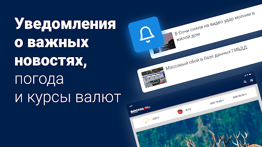 Самолет из Сочи прилетел в Москву без багажа пассажиров