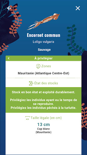 Ethic Ocean Screen 2