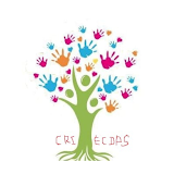 CRI ECDPS icon