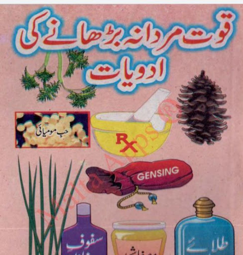 اسلامی لائبریری اردو Screen 3