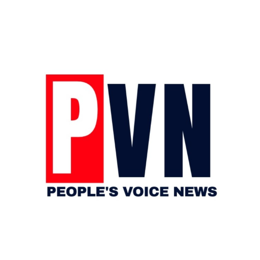PVNews logo