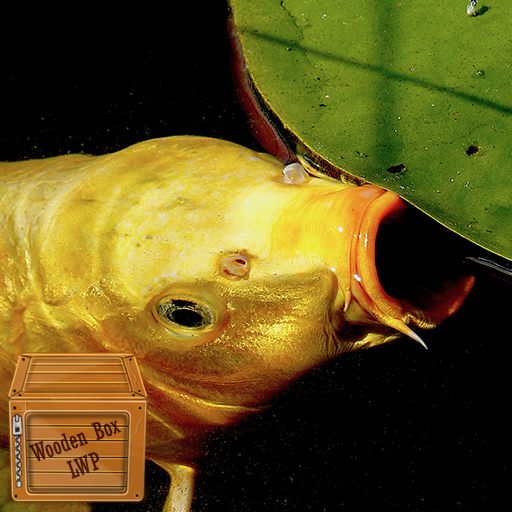 koi carp wallpaper logo