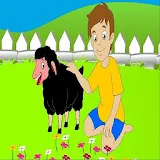 Ba Ba Black Sheep Humpty Dumpt icon