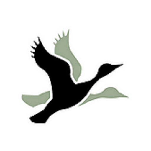 Nomeditie logo