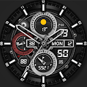 WFP 301 Hybrid watch face