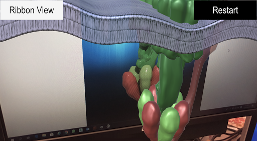 ATP Synthase [AR] Screen 3