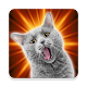 Cat Sounds Download on Windows