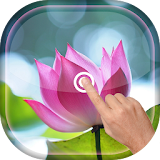 Magic Touch - Lotus LWP icon