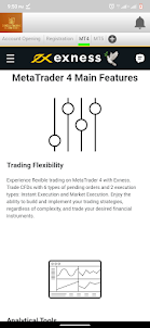 Exness Trader: Online
