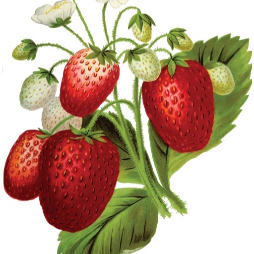 CRP France Food logo