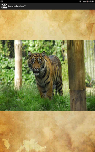 What animal are you?