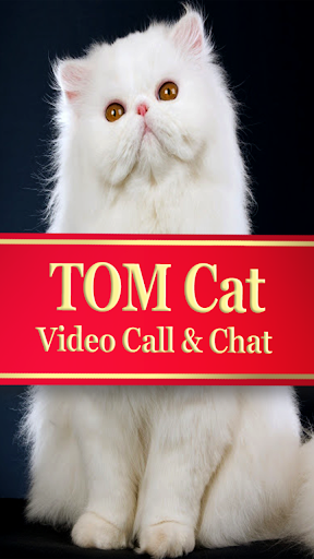 Cat Fake Call  Video Call  Chat- Simulation