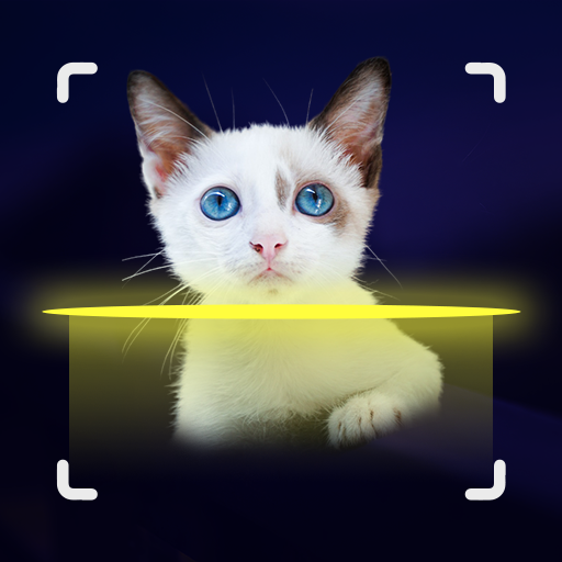 Cat Recognition by Photo logo