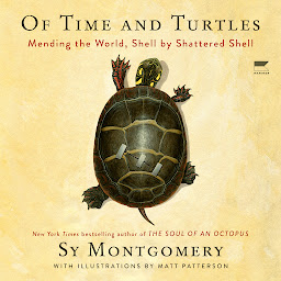 Icon image Of Time and Turtles: Mending the World, Shell by Shattered Shell