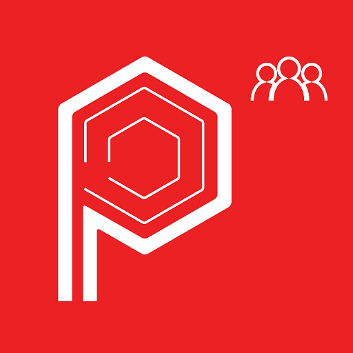 Palladium Payroll logo