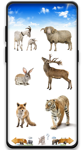 Animal Sounds Screen 2
