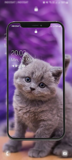 Android application Cute Kitten Wallpapers Offline screenshort