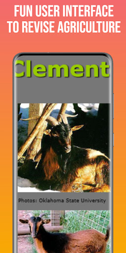 Agriculture Form 3 Exams + Ans Screen 2