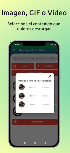 Vista previa de la aplicación