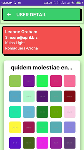 Posts Api App - Sample of Fetc Screen 3